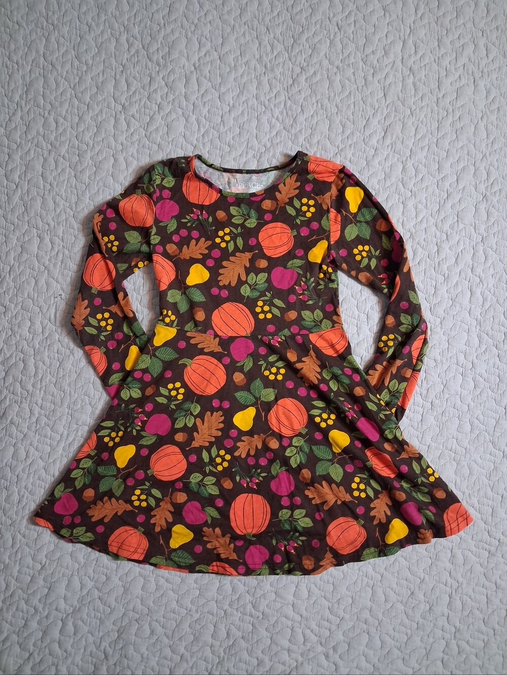 Children's Place Fall Dress Girls Size 5/6 Acorns Pumpkins